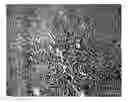 Fig. 01 - Manipulating Surface Properties of Polymer with Migrating Additives