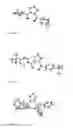 Fig. 02 - Catalyst components based on fulvene complexes