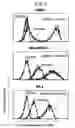 Fig. 11 - Monoclonal antibody capable of binding to heparin-binding epidermal growth factor-like growth factor
