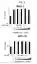 Fig. 12 - Monoclonal antibody capable of binding to heparin-binding epidermal growth factor-like growth factor