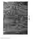 Fig. 13 - Oligonucleotide sequence formula for labeling olignucleotide probes and proteins for in-situ analysis