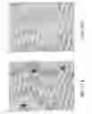 Fig. 22 - Oligonucleotide sequence formula for labeling olignucleotide probes and proteins for in-situ analysis