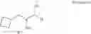 Fig. 20 - Process for the synthesis of 3-amino-3-cyclobuthylmethyl-2-hydroxypropionamide or salts thereof