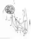 Fig. 02 - Enhanced biomechanical stimulation device