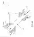 Fig. 08 - Vaginal carrier for the controlled release of substances