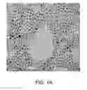 Fig. 02 - NANOPARTICLE-MEDIATED MICROWAVE TREATMENT METHODS
