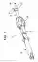 Fig. 02 - Spinal rod approximator