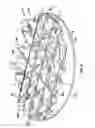 Fig. 04 - Toroid-shaped spinal disc