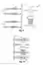 Fig. 07 - Vertebral prosthesis and spinal fixation system