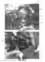 Fig. 43 - SUSPENSION CONVERSION METHOD AND APPARATUS