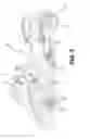 Fig. 06 - THREE WHEEL VEHICLE ELECTRONIC STABILITY SYSTEM AND CONTROL STRATEGY THEREFOR