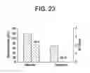 Fig. 24 - METHODS OF TREATING HEPATIC ENCEPHALOPATHY