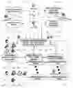 Fig. 01 - MULTI-TIER TRANSACTION PROCESSING METHOD AND PAYMENT SYSTEM IN M- AND E- COMMERCE