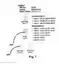 Fig. 06 - Search Methods and Systems Utilizing Social Graphs as Filters