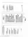 Fig. 08 - METHOD OF SECURITIZING A PORTFOLIO OF AT LEAST 30% DISTRESSED COMMERCIAL LOANS