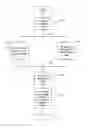 Fig. 01 - Database backup and restore with integrated index reorganization