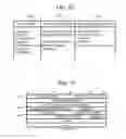 Fig. 07 - Network Layer Tunnel, Apparatus Having Transport Layer/Network Layer Stack and Network Layer Tunnel, and Method Using Network Layer Tunnel