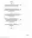 Fig. 08 - Secure recursive virtualization