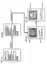 Fig. 56 - Multimedia data processing device which can easily prepare multimedia contents and output changed contents
