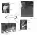 Fig. 01 - Collaborative Virtual Reality System Using Multiple Motion Capture Systems and Multiple Interactive Clients