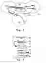 Fig. 03 - Method for Specifying Stateful, Transaction-Oriented Systems for Flexible Mapping to Structurally Configurable In-Memory Processing Semiconductor Device
