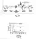 Fig. 02 - COOPERATING ONCOGENES IN CANCER