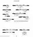 Fig. 09 - Recombinant DNA constructs and methods for controlling gene expression