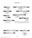 Fig. 09 - Recombinant DNA constructs and methods for controlling gene expression
