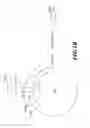 Fig. 03 - Promoter with high expression strength and over-expression in various tissues of plant, as well as application thereof