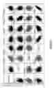 Fig. 02 - Yield traits for maize