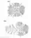 Fig. 02 - Pad for a garment, padded garment and method of manufacturing same