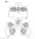 Fig. 06 - Pad for a garment, padded garment and method of manufacturing same