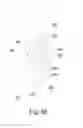 Fig. 09 - Curtain bead chain fixing device