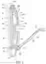 Fig. 06 - Hook Device
