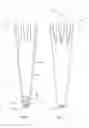 Fig. 04 - COMBINATION EATING UTENSIL