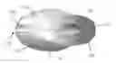 Fig. 01 - Device for wearing thong-type sandals