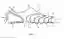 Fig. 03 - Article of footwear accommodating different foot sizes