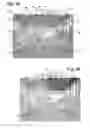 Fig. 05 - Diorama and method of making the same