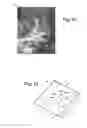 Fig. 10 - Diorama and method of making the same