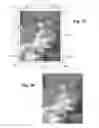 Fig. 12 - Diorama and method of making the same