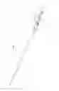 Fig. 02 - Line tension measuring device