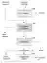 Fig. 01 - Biofuel composition and manufacturing process