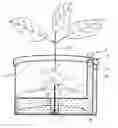 Fig. 01 - Self watering plant system