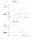 Fig. 05 - Exhaust purification device of internal combustion engine