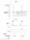Fig. 06 - Exhaust purification device of internal combustion engine