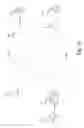 Fig. 13 - Instrumentation of Acoustic Wave Devices