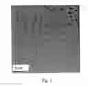 Fig. 02 - Process for preparing platinum based electrode catalyst for use in direct methanol fuel cell