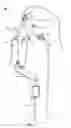 Fig. 04 - ASSEMBLY FOR AUTOMATIC FRESH BREWING OF HOT BEVERAGE AND DISPENSING THEREOF