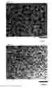 Fig. 08 - Ultrafine zinc oxide particle dispersion solution, method for producing the ultrafine zinc oxide particle dispersion solution, and zinc oxide thin film