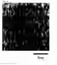Fig. 09 - Ultrafine zinc oxide particle dispersion solution, method for producing the ultrafine zinc oxide particle dispersion solution, and zinc oxide thin film
